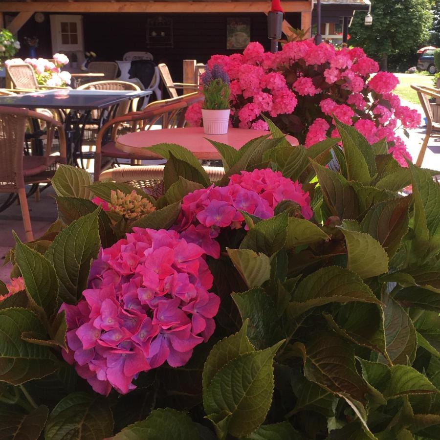 Chalet Plantlust Веере Екстериор снимка